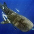 Nosy Be (Madagascar)