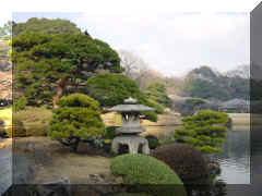 Shinjuku-gyoen - jardin jap - 03.jpg (52064 bytes)