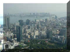 Tokyo Tower - vue5.jpg (47157 bytes)