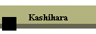 Kashihara