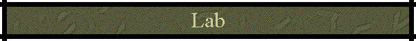 Lab