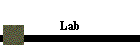 Lab