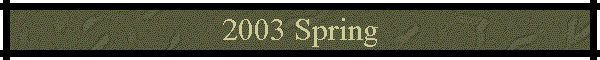 2003 Spring
