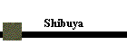 Shibuya