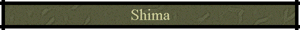 Shima