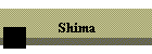 Shima