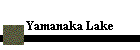 Yamanaka Lake