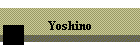 Yoshino