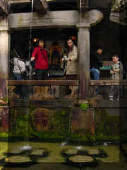 Kyoto - Kiyomizu eau.jpg (46514 bytes)