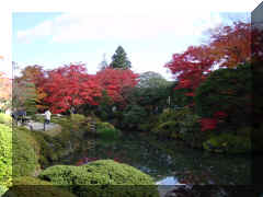 Nikko - jardin automne1.jpg (57639 bytes)