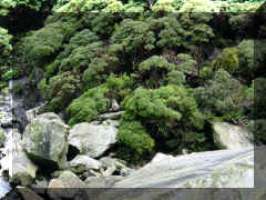 Milford Sound - cruise9.jpg (80467 bytes)